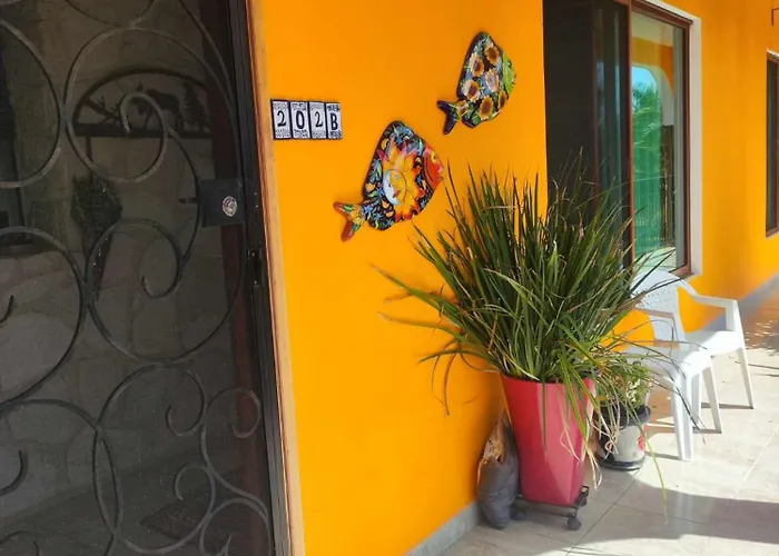 Beautiful Close To The Playa del Carmen